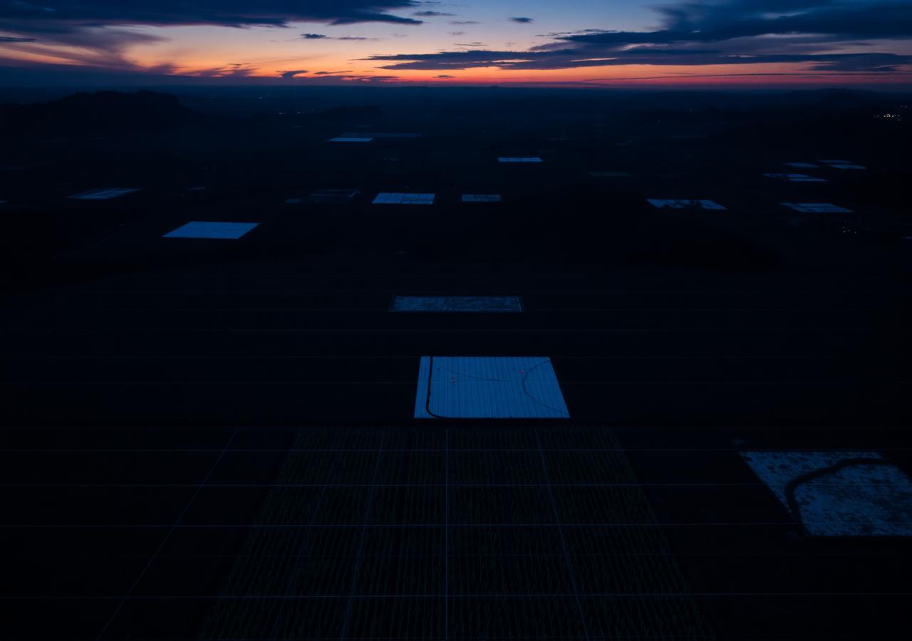 Aerial view of plantation fields with field analytics grid overlay