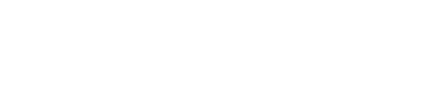 PasarPolis